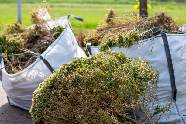 Best Mattress Removal Service  in Fyffe, AL